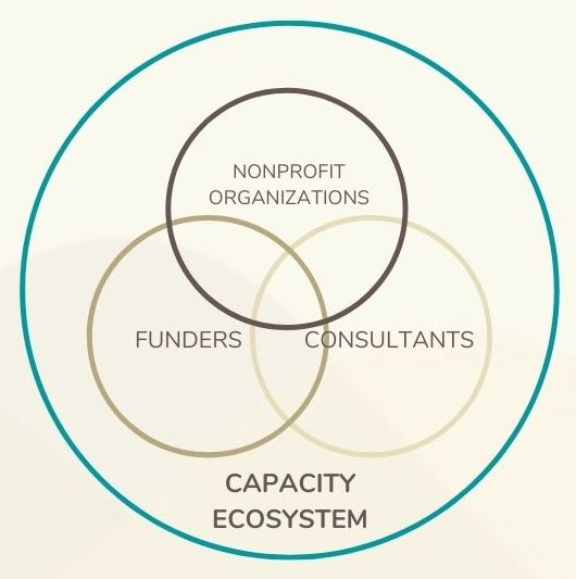 Nonprofit Lifecycles Ecosystem