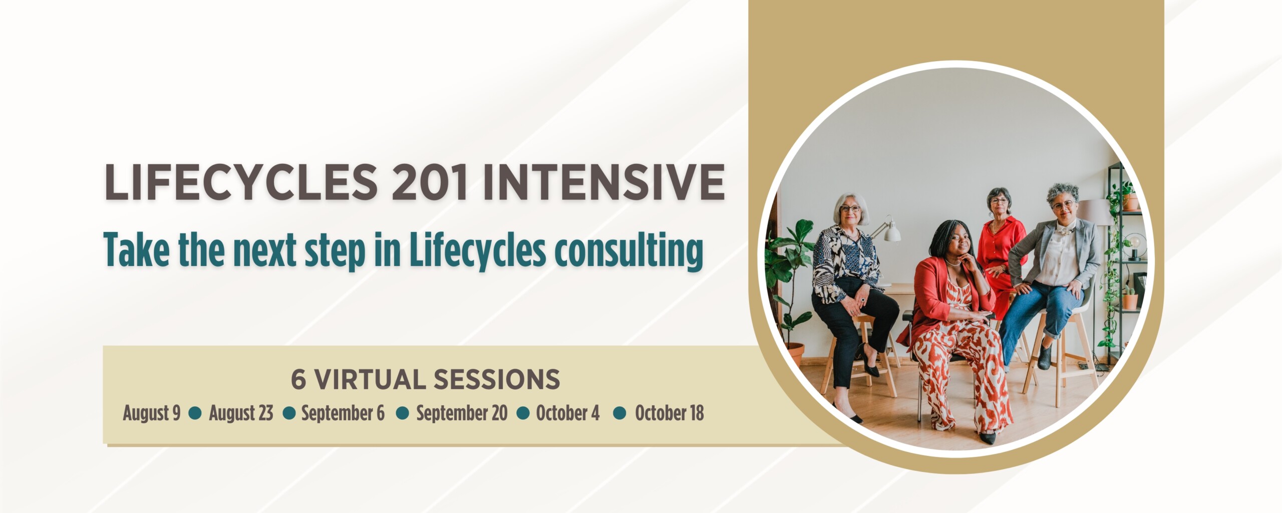 Lifecycles 201 Training for Consultants and Funders 