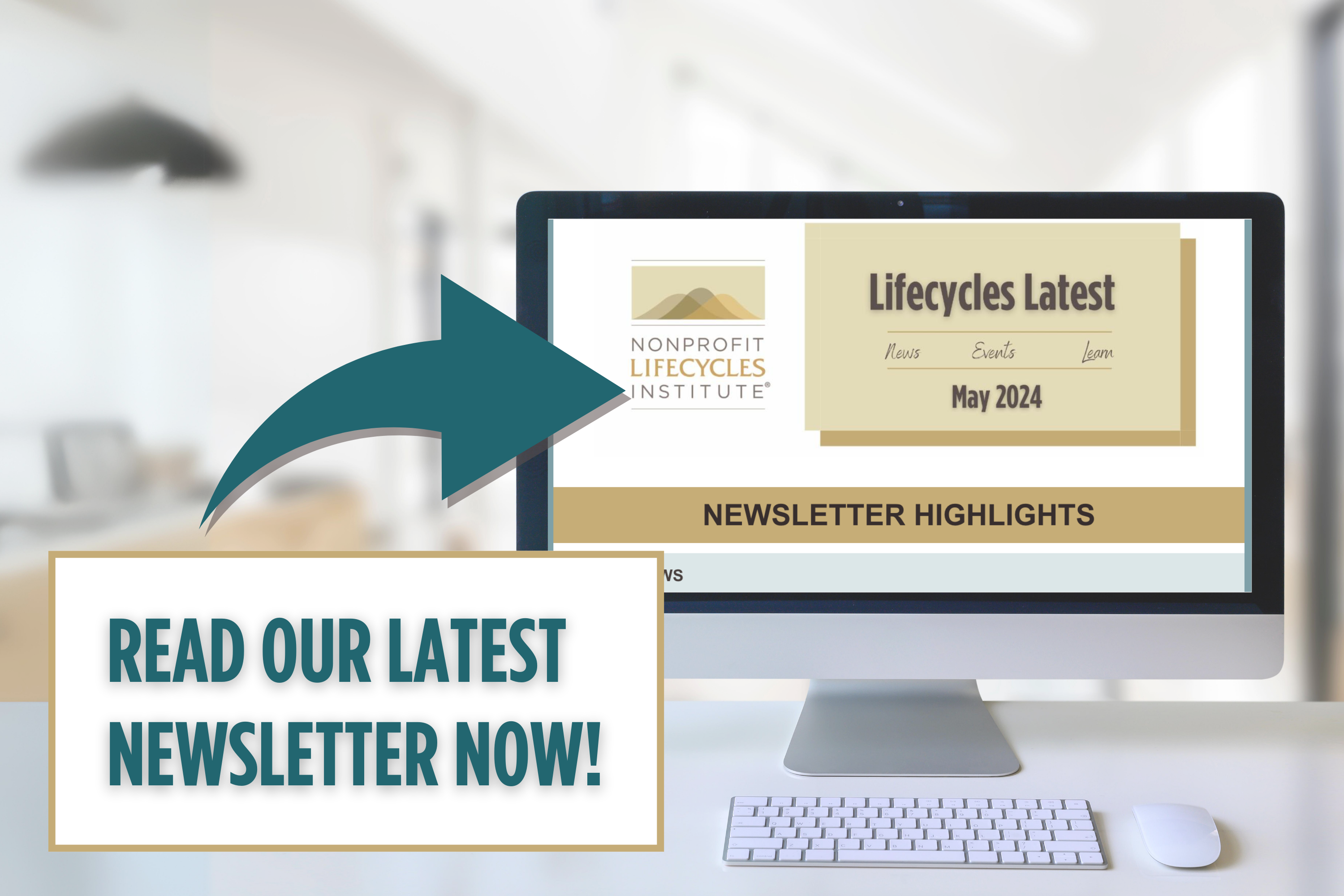 Read the latest Nonprofit Lifecycles Institute January/February 2024 newsletter