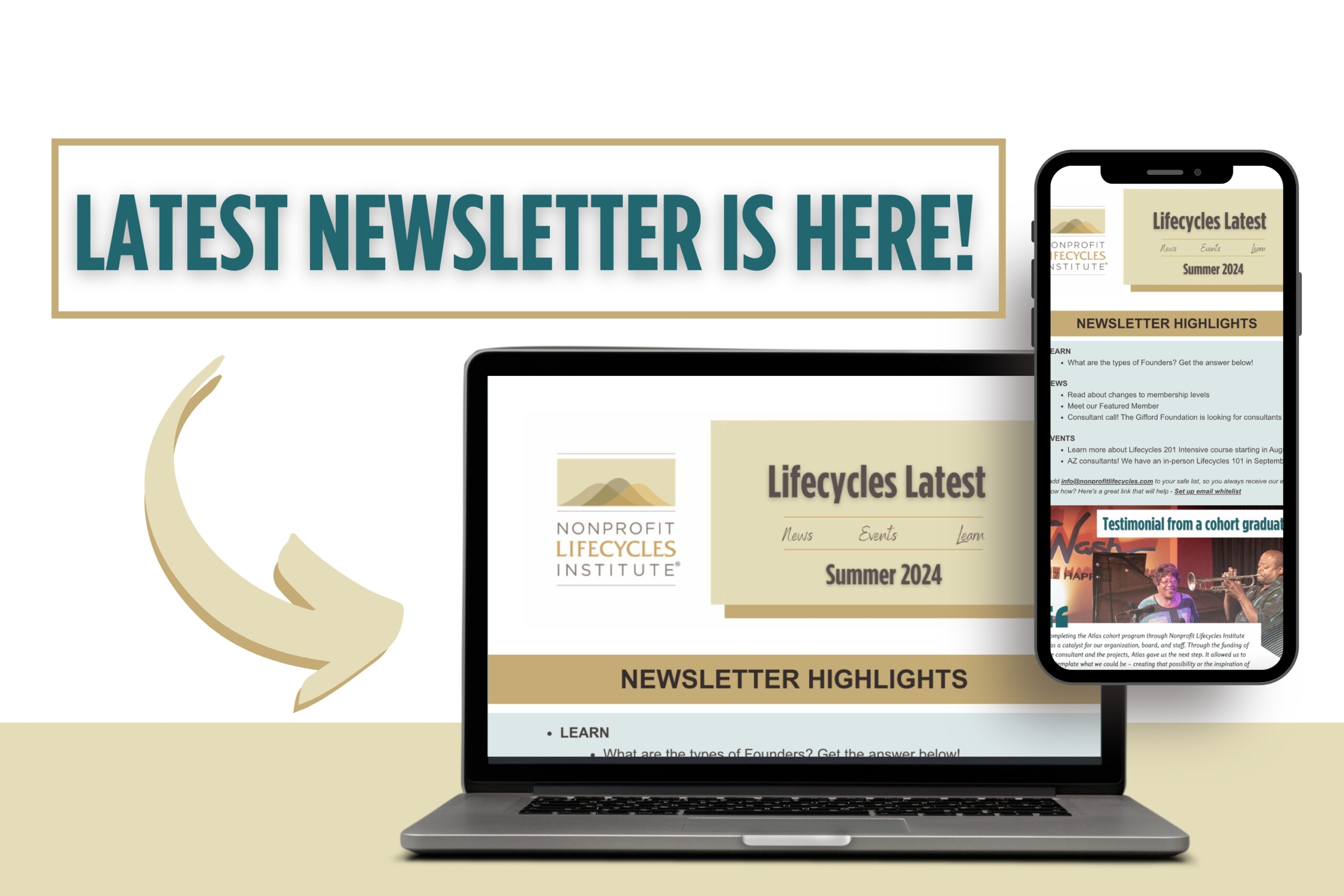 Read the latest Nonprofit Lifecycles Institute summer newsletter