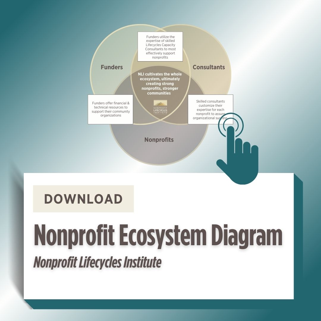 Nonprofit ecosystem