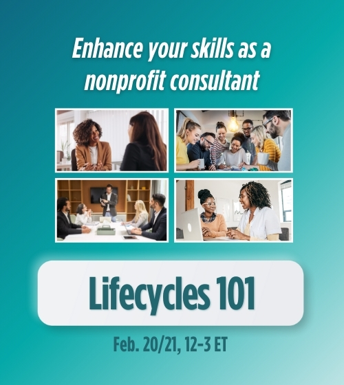 nonprofit consulting course february 2025