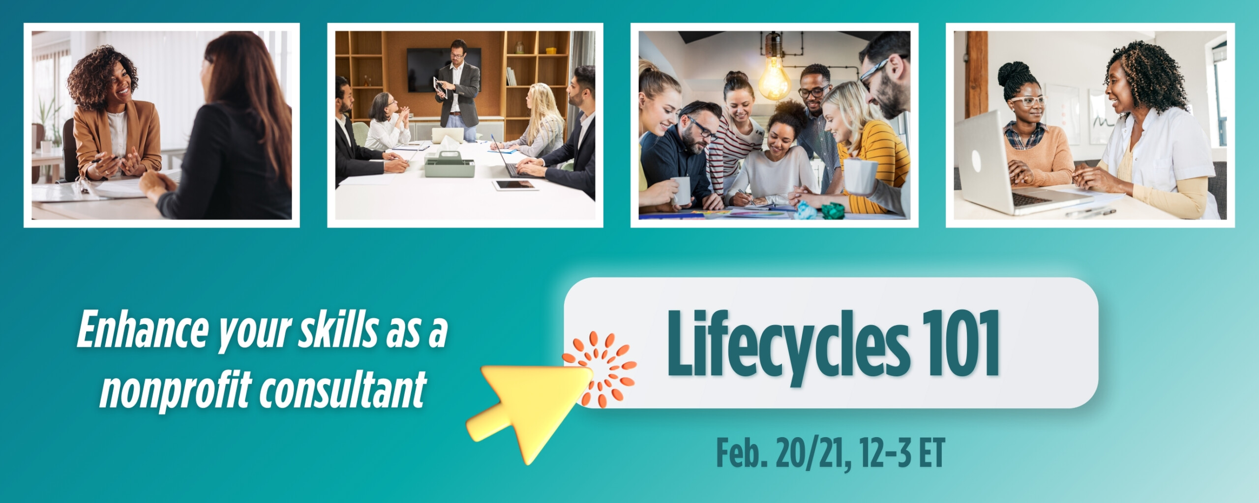 Lifecycles 101 Training for Consultants and Funders 