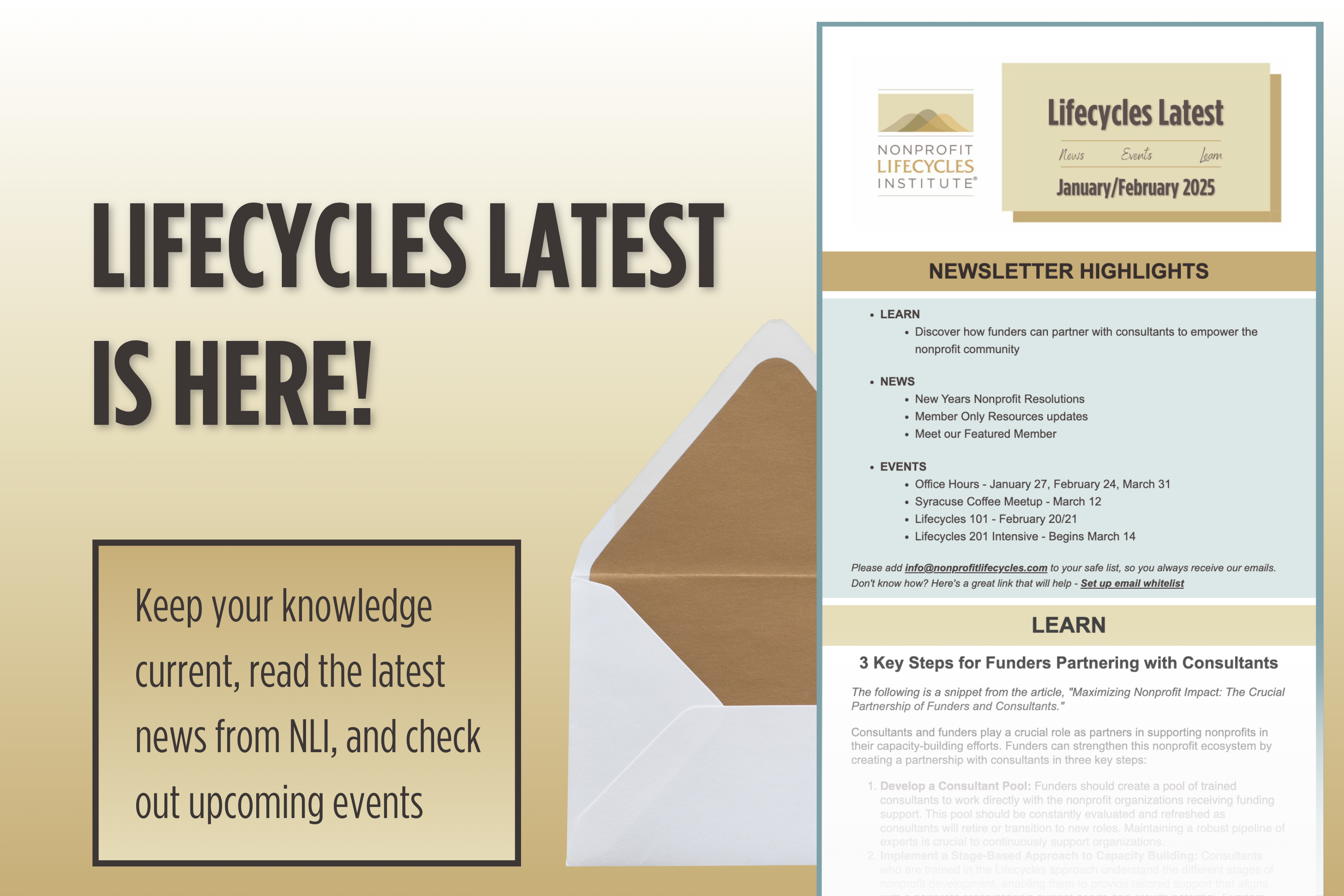 Read the latest Nonprofit Lifecycles Institute November newsletter