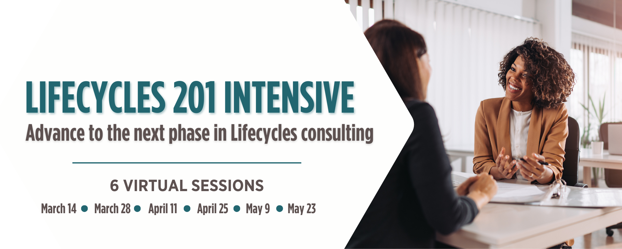Lifecycles 201 Training for Consultants and Funders