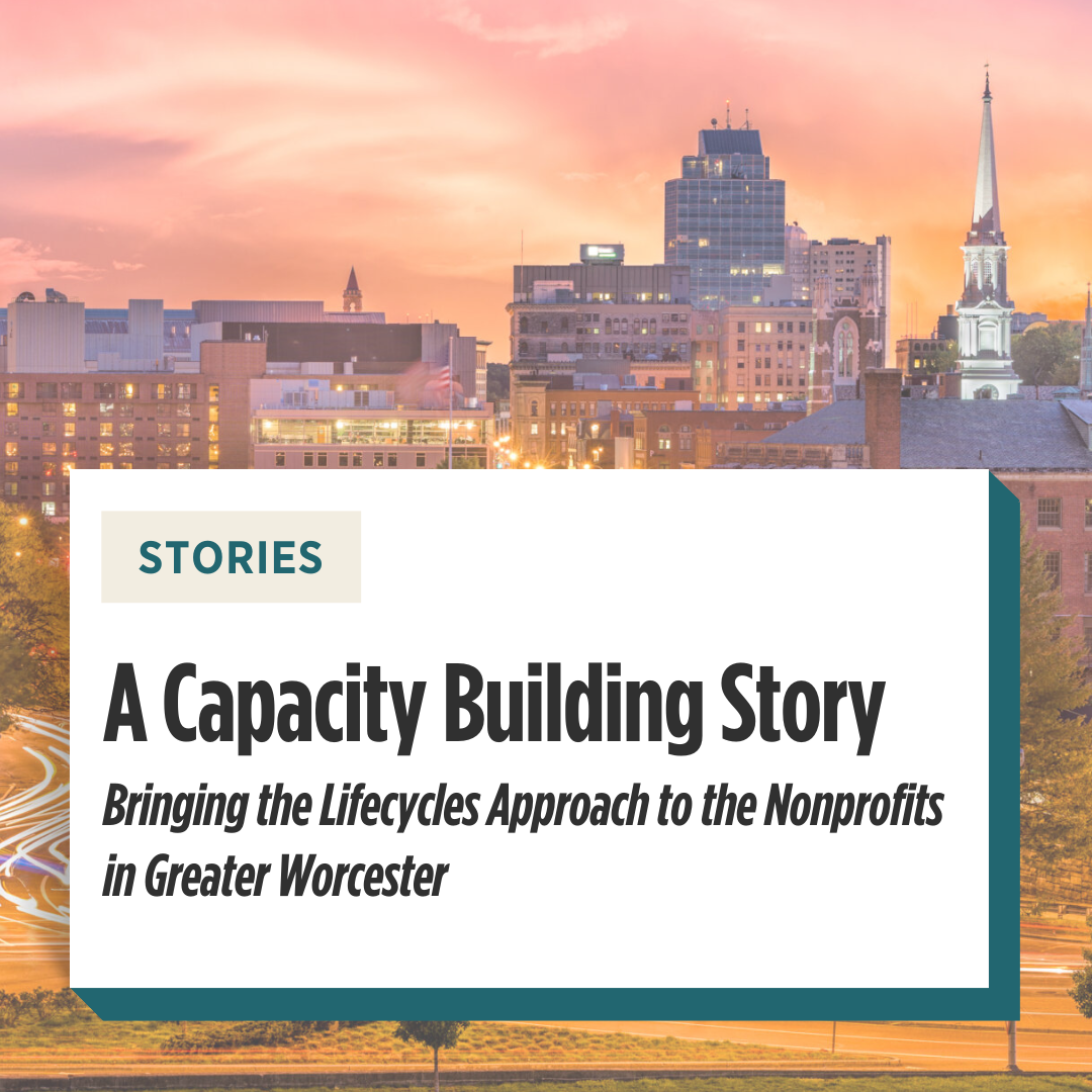capacity building partnership