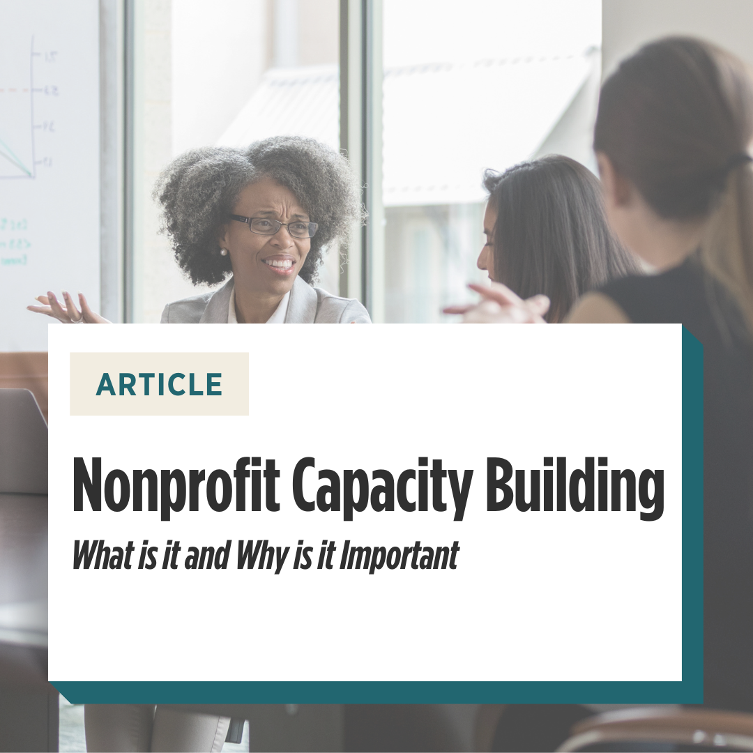 what is nonprofit capacity building