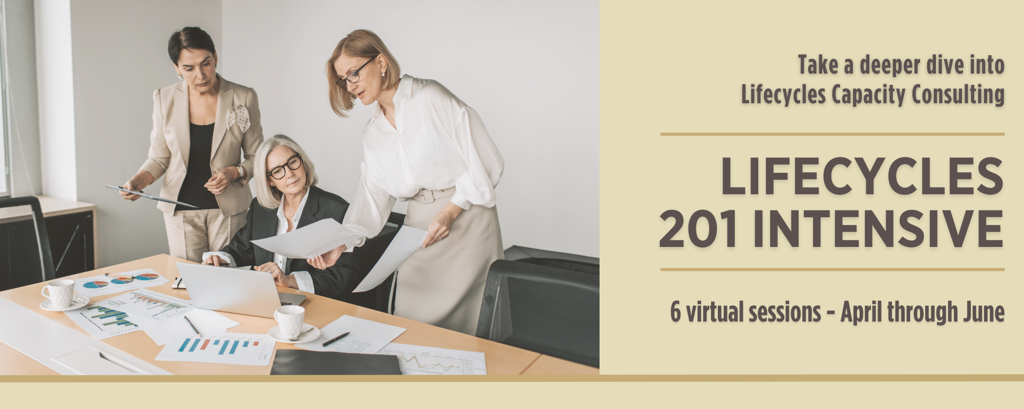 Lifecycles 201 Training for Consultants and Funders August 2025